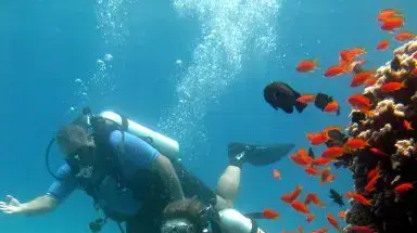 קורס צלילה של עמותת אתגרים קורס צלילה של עמותת אתגרים