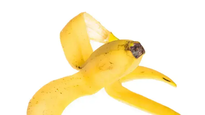 אילוסטרציה אילוסטרציה