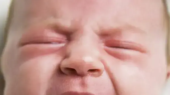 אילוסטרציה אילוסטרציה
