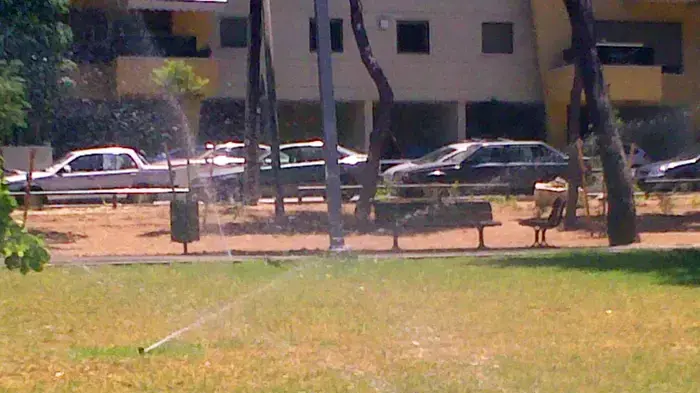 מדשאות מושקות בשדרות ההשכלה בתל אביב מדשאות מושקות בשדרות ההשכלה בתל אביב