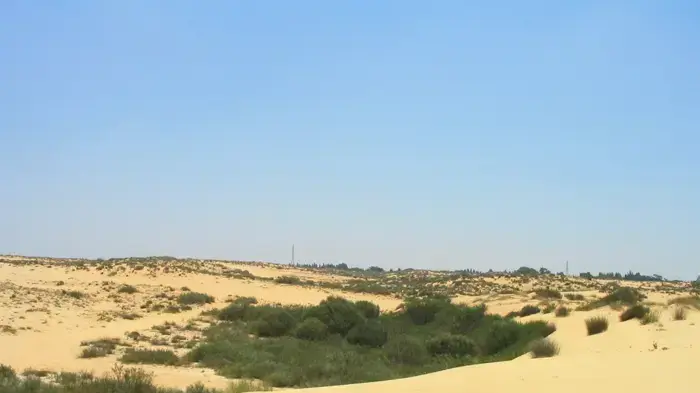חולות ניצנים חולות ניצנים