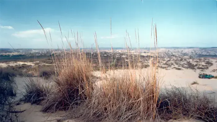 חולות נתיב העשרה חולות נתיב העשרה