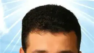 ח"כ כרמל שאמה ח"כ כרמל שאמה