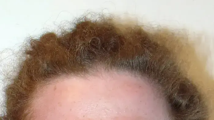 אביחי סטולר אביחי סטולר