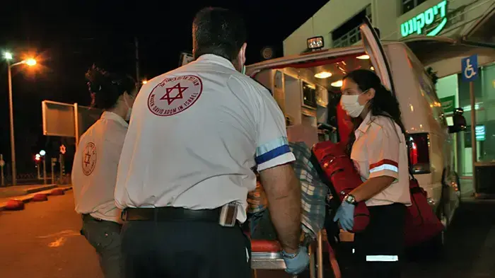 מד"א נערך לשפעת החזירים מד"א נערך לשפעת החזירים