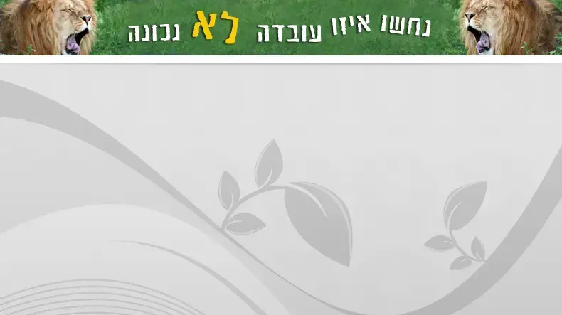 באנר "נחשו איזו עובדה לא נכונה" באנר "נחשו איזו עובדה לא נכונה"