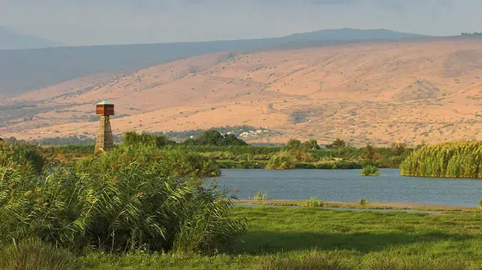 שמורת החולה שמורת החולה