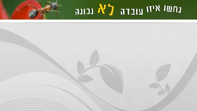 נחשו איזו עובדה לא נכונה נחשו איזו עובדה לא נכונה