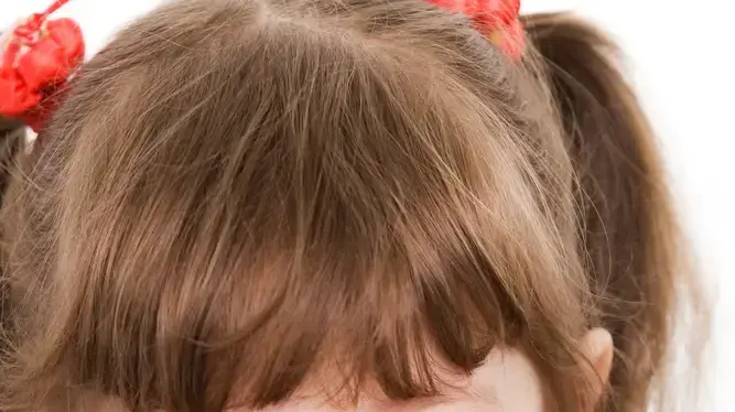 אילוסטרציה אילוסטרציה