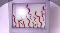 אילוסטרציה - וירוס תולעת אילוסטרציה - וירוס תולעת