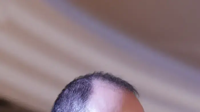הרמת כוסית לשנה החדשה במחנה סילבן שלום הרמת כוסית לשנה החדשה במחנה סילבן שלום