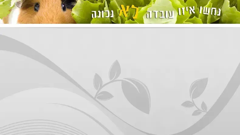 נחשו איזו עובדה לא נכונה נחשו איזו עובדה לא נכונה