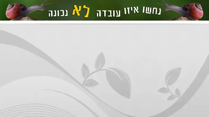 נחשו איזו עובדה לא נכונה נחשו איזו עובדה לא נכונה