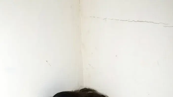 אילוסטרציה אילוסטרציה