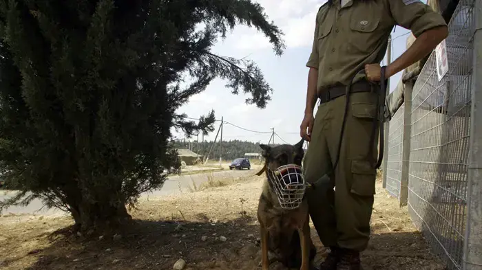 גורים חדשים ביחידת עוקץ, כלבייה של יחידת עוקץ גורים חדשים ביחידת עוקץ, כלבייה של יחידת עוקץ