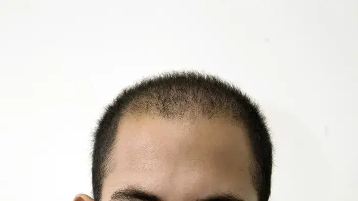 ניר יהב