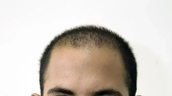 ניר יהב ניר יהב