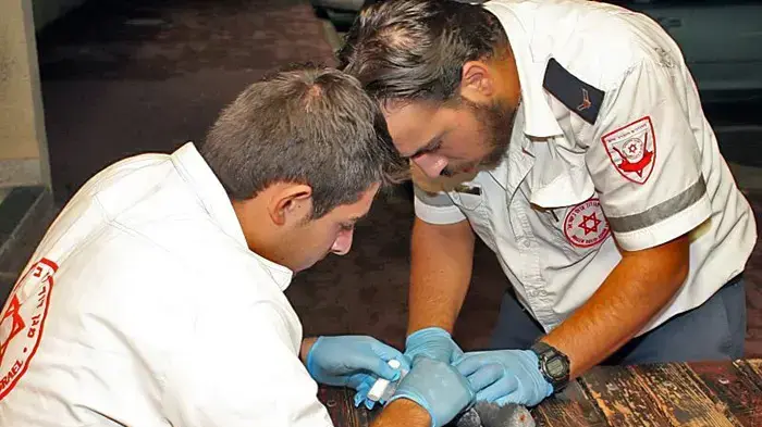 פראמדיקים ממד"א מטפלים ביונה פצועה פראמדיקים ממד"א מטפלים ביונה פצועה