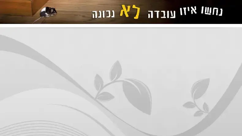 "נחשו איזו עובדה לא נכונה" "נחשו איזו עובדה לא נכונה"