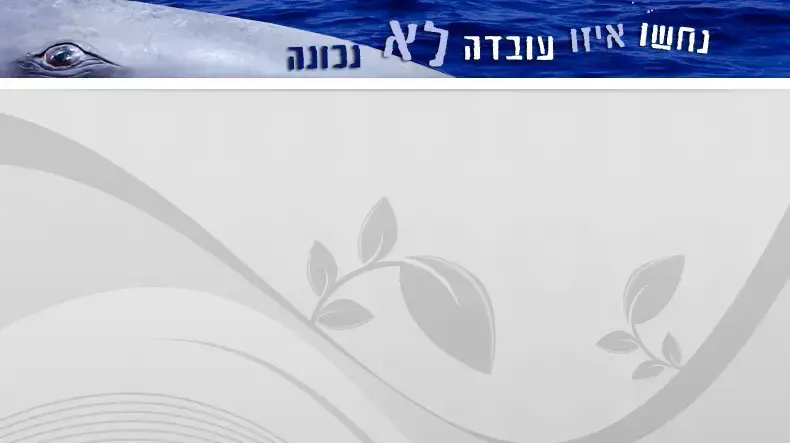באנר לוויתנים נחשו איזו עובדה לא נכונה באנר לוויתנים נחשו איזו עובדה לא נכונה