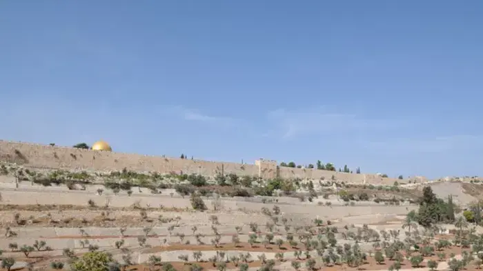 מהומות בהר הבית מהומות בהר הבית