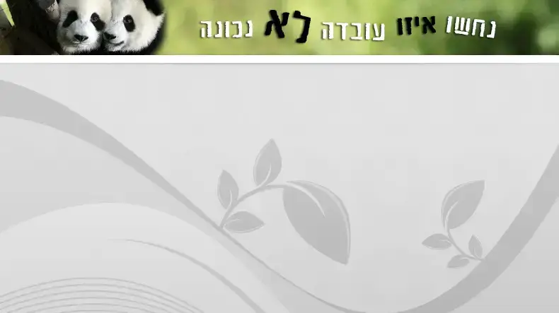 באנר פנדות נחשו איזו עובדה לא נכונה באנר פנדות נחשו איזו עובדה לא נכונה