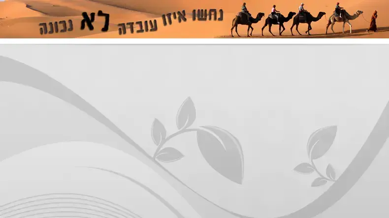באנר מצעד פלאש באנר מצעד פלאש