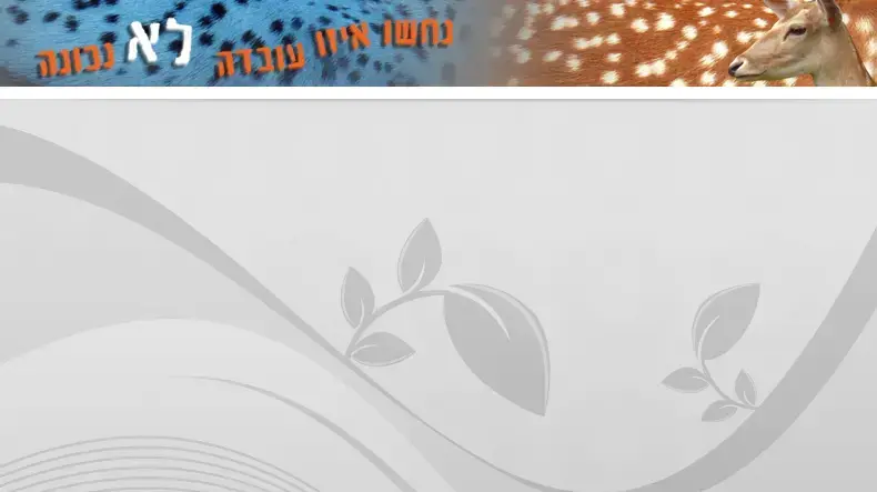 אילוסטרציה אילוסטרציה