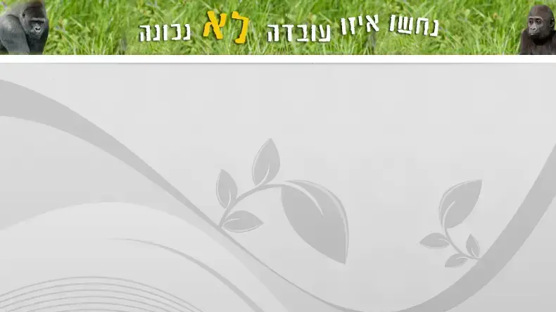 מצעד פלאש גורילות