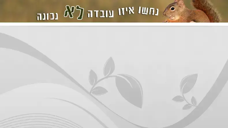 מצעד פלאש סנאים מצעד פלאש סנאים