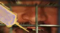 אילוסטרציה הוצאה להורג אילוסטרציה הוצאה להורג