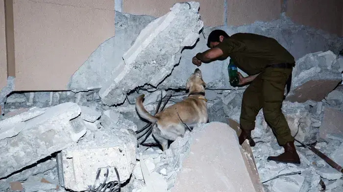 משלחת הסיוע של צה"ל, האיטי משלחת הסיוע של צה"ל, האיטי