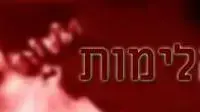 אלימות נגד נשים אלימות נגד נשים