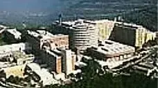 הדסה עין כרם (מתוך אתר הדסה) הדסה עין כרם (מתוך אתר הדסה)