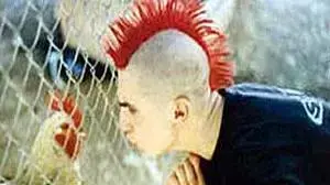 Chicken Punk
