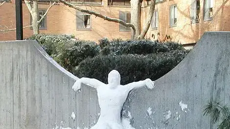 snow sex