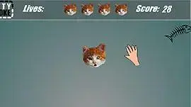 kitty