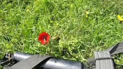 רובה ופרג צילום אורי ארוך