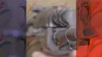 אילוסטרציה טרור ביורו אלפיים אילוסטרציה טרור ביורו אלפיים