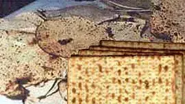 מצות מצות