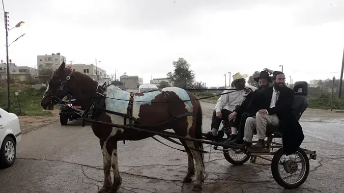 צעדת חג הפורים בחברון פברואר 2010 צעדת חג הפורים בחברון פברואר 2010