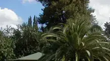בריכה בריכה