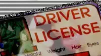אילוסטרציה רישיון וסקס אילוסטרציה רישיון וסקס