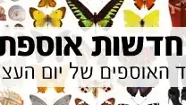 וואלה חדשות אוספת אתכם וואלה חדשות אוספת אתכם