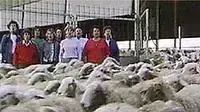 התוכנית האמא של הגבעטרון התוכנית האמא של הגבעטרון