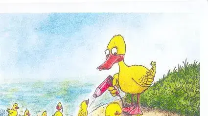 ברווזים