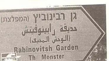 רבינוביץ