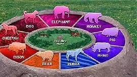 Switch Zoo