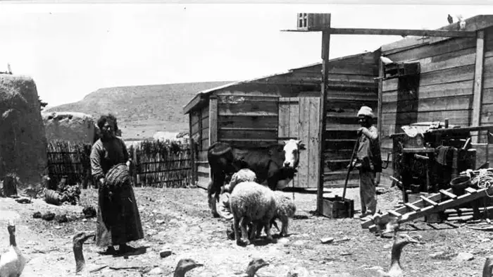 מרים ברץ עם הפרה הראשונה של דגניה, 1941
