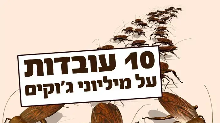 באנר מצעד פלאש באנר מצעד פלאש